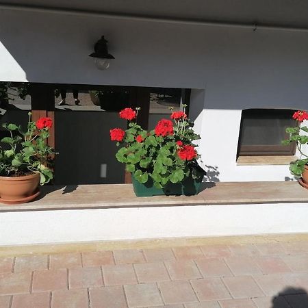 Ana Boutique Bed & Breakfast Alba Iulia Luaran gambar